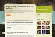 free theme wordpress