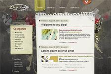 free theme wordpress