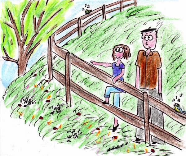 Television en pleine nature