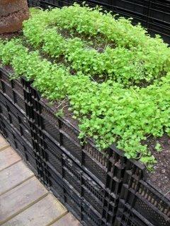 table jardinage CentQuatre pousse...