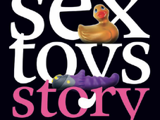 Sextoys Story