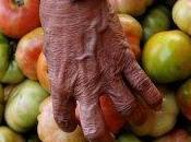 7.000 champs irrigués avec eaux usées Maroc