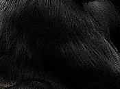 Vous avez éponge émotions?