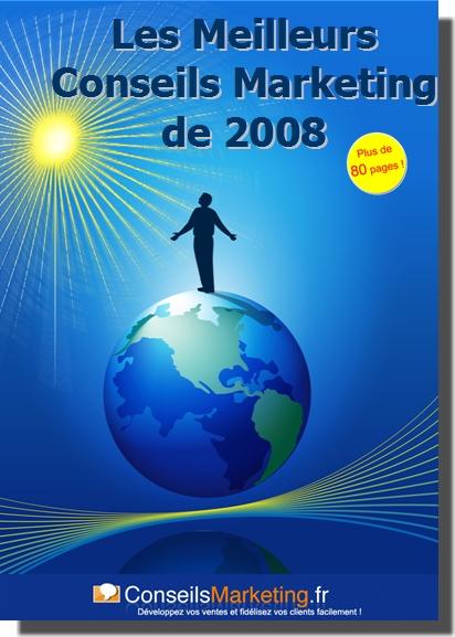 ebook les meilleurs conseilsmarketing de 2008