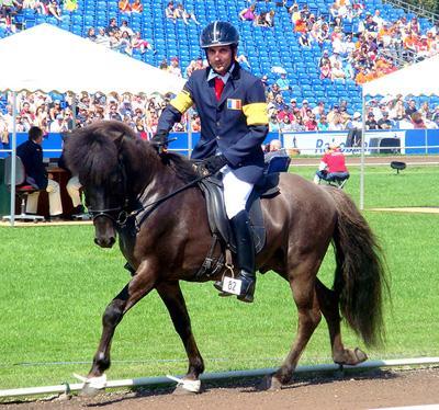 islandais1 Comment un cours raté peut laisser de très bons souvenirs photo cheval