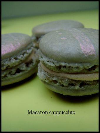 Macaron chococo Macaron cappuccino macaroncappu