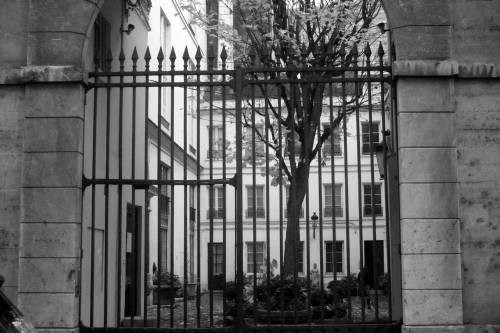 Rue Monsieur Le Prince n22 2008-11-15 007.jpg