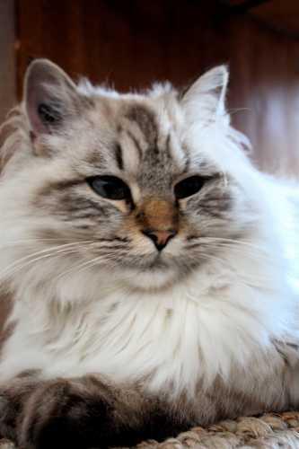 L'enfer c'est les autre ?!? IMG_6939.JPG