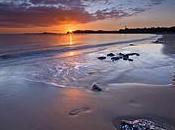 raisons d’utiliser trépied