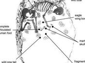 squelette d'une chaman découvert avec tortues Galilée