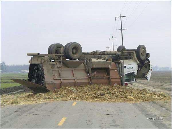 Trucs tombés du camion