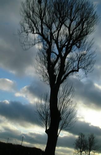 ************************************************************