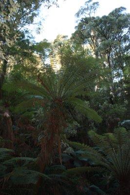 Great Ocean Road (1)