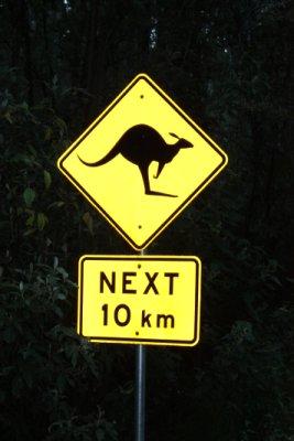 Australie2008_ 334_Erskine Falls