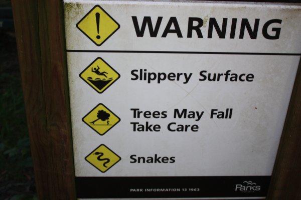 Australie2008_ 325_Erskine Falls