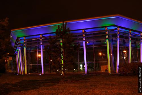 piscine municipale night