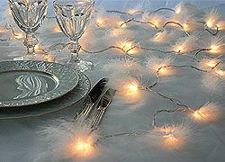 Guirlandes lumineuses pour Noël plume_elec