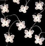 Guirlandes lumineuses pour Noël fleur