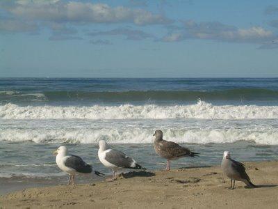 Found photos : un double exemple de la puissance des réseaux