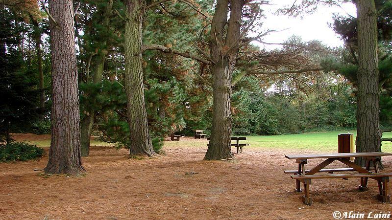 Gayeulles_15oct08_18