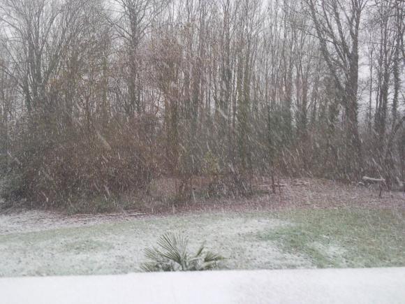 Ne pas mettre la charue avant les boeufs . http://etre.cowblog.fr/images/Neigejardin.jpg