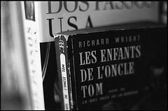 Les Enfants de l'Oncle Tom