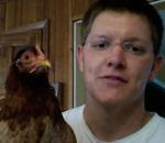 vidéo poulet tête stable immobile