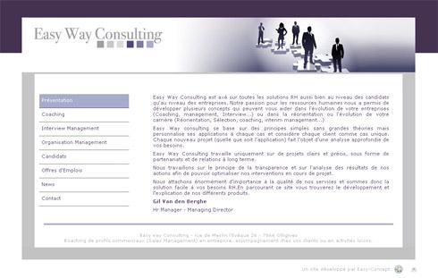 Mise ligne site Easy Consulting