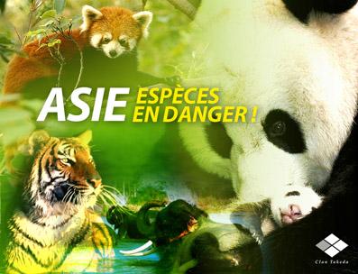 Article : Asie, espèces menacées ! (1)