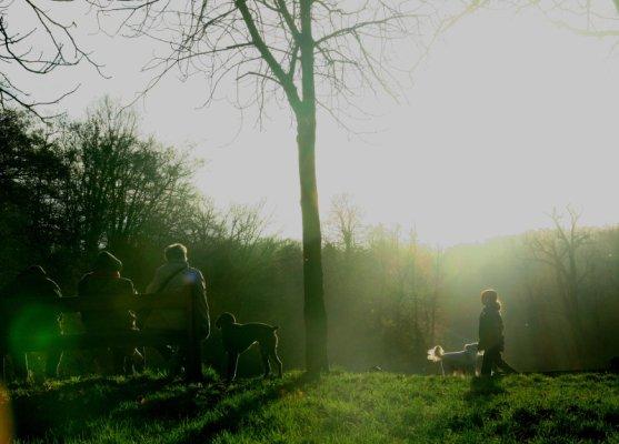 Promenons-nous dans les bois