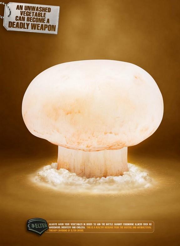 champignon pesticide