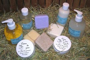 lait1 Le lait de jument photo cheval