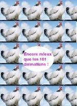 1.200 poulets