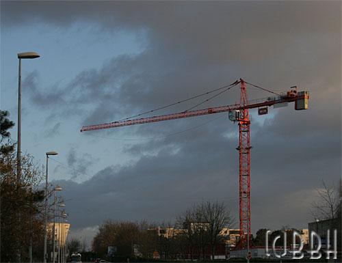 grue rouge