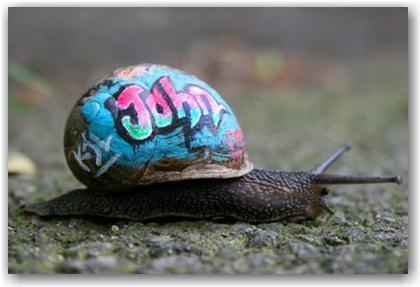 snail_painted Attention, je peins tout ce qui bouge