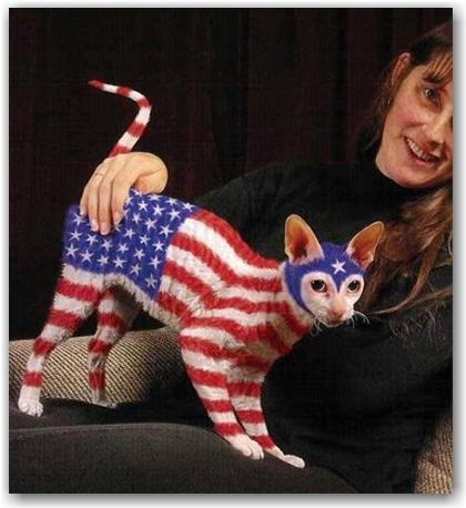 painted_cat Attention, je peins tout ce qui bouge