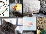 toucher, sens délicat