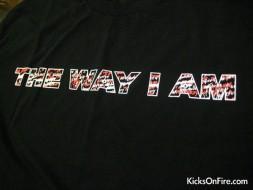 Air Jordan II (2) - Eminem - The Way I Am Edition