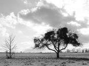 Avec quoi cours-je l'hiver