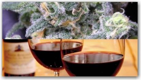 marijuana_bud_bon_sante_tete_vin_rouge Du rouge et de l’herbe contre Alzheimer