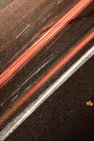 The leaf with no fear