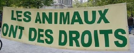animauxdroits.jpg