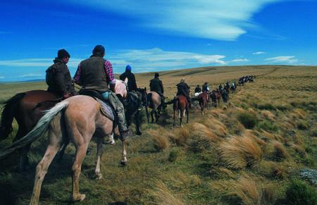 trec Apprentissage   méthode 2 : lextérieur photo cheval
