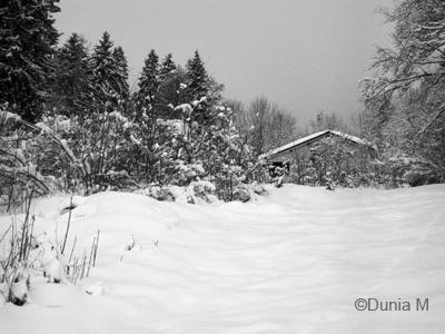 La Chaux-de-Fonds: neige décembre 2008