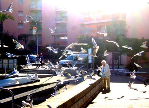 Roquebrune, suite... (il s'éternise ce compte-rendu!)