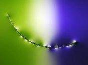 disent quoi, vous, cheveux