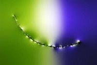 Ils disent quoi, vous, vos cheveux ? Ils disent quoi, vous, vos cheveux ?