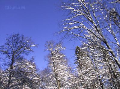 La Chaux-de-Fonds: neige décembre 2008