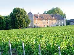 Les vins du Château d'Allaman