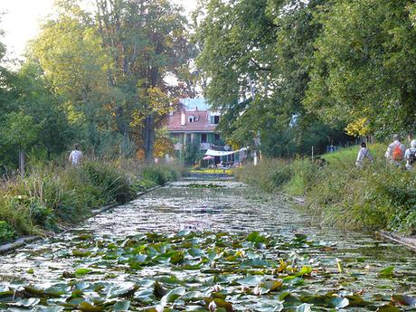 Etang de la propriété du Désert